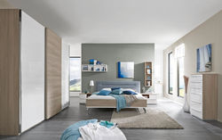 Loddenkemper Dream