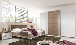 Loddenkemper Dream