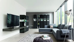 WÖSTMANN NW660
